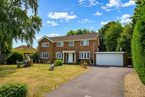 Photo 1- click for photo gallery